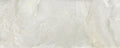 CS1000016.webp