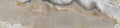 CS1000020.webp