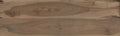 CS1000023.webp