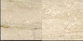 CS1000203