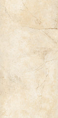 CS1000339.webp