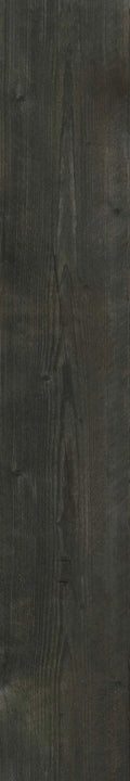 CS1000560.webp