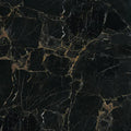 CS1000600.webp