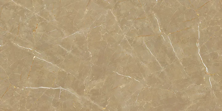 CS1000807