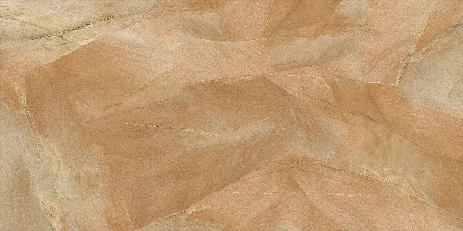 CS1001192.webp