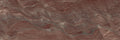 CS1001256.webp
