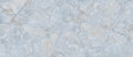 CS1001302.webp