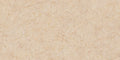 CS1001502.webp
