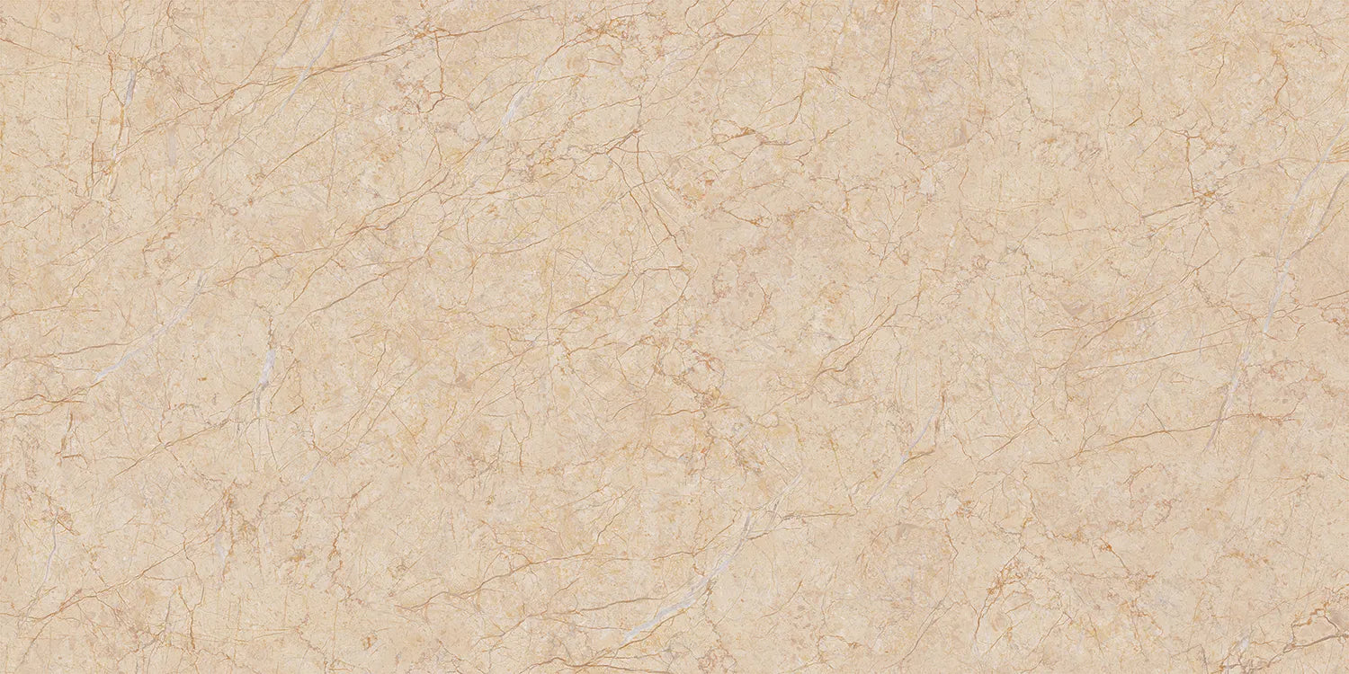 CS1001502.webp