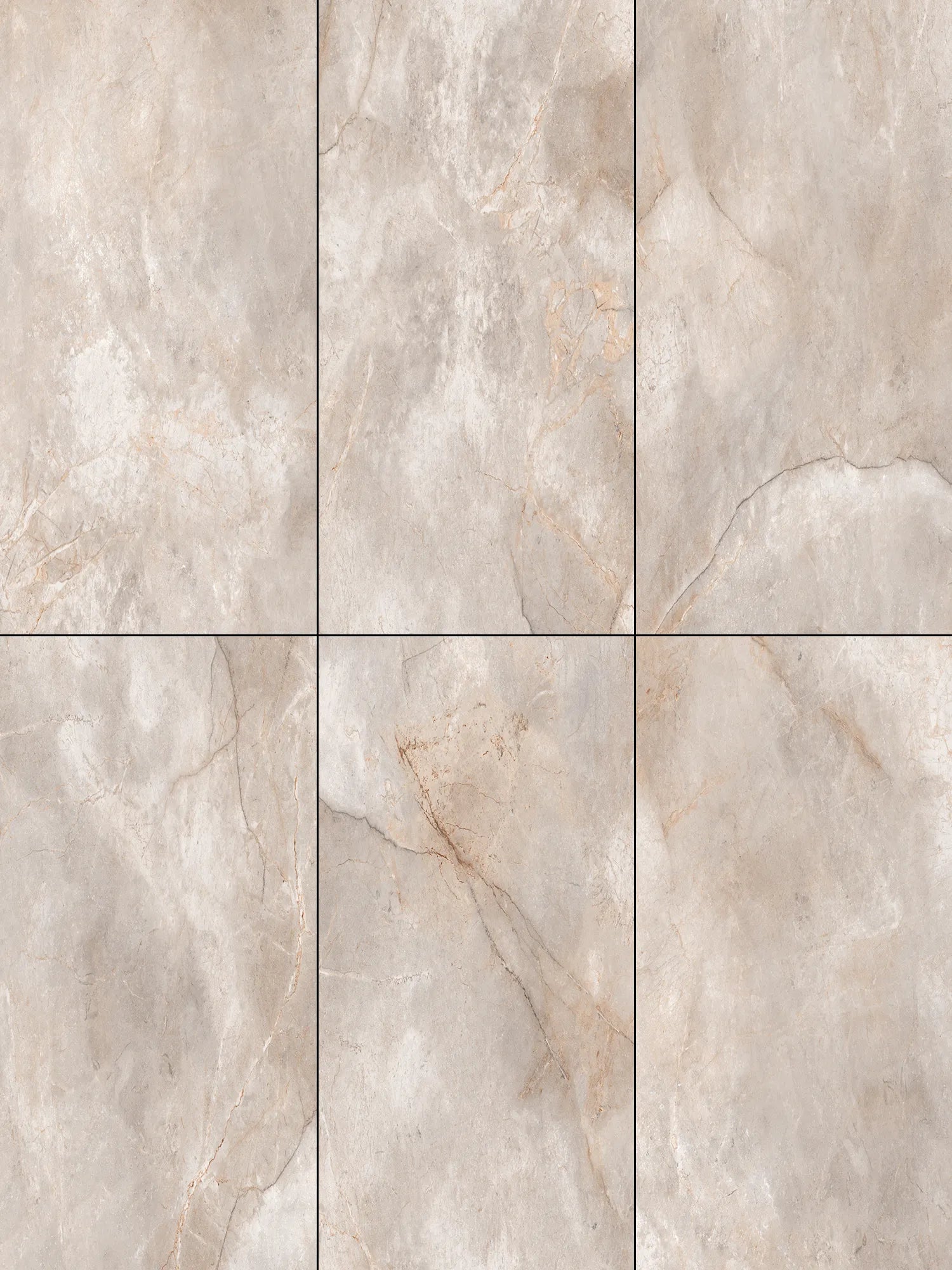 CS1001575.webp