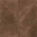 CS1001598