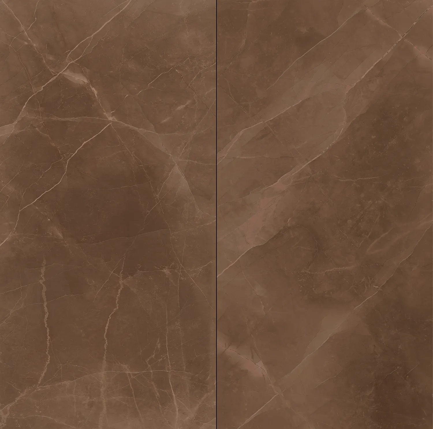 CS1001598
