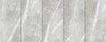 CS1001599