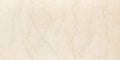 CS1001602.webp