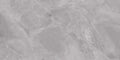 CS1001658