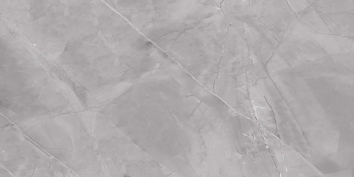 CS1001658
