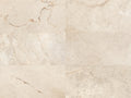 CS1001675.webp