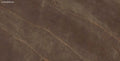 CS1001679