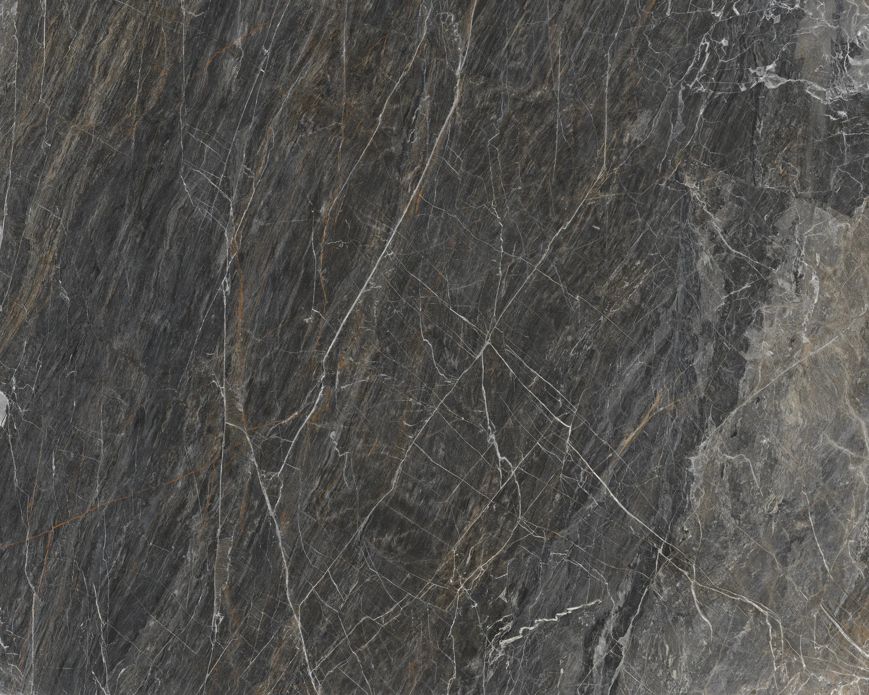 CS1001685.webp