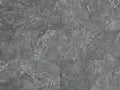 CS1001702.webp