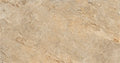 CS1002045