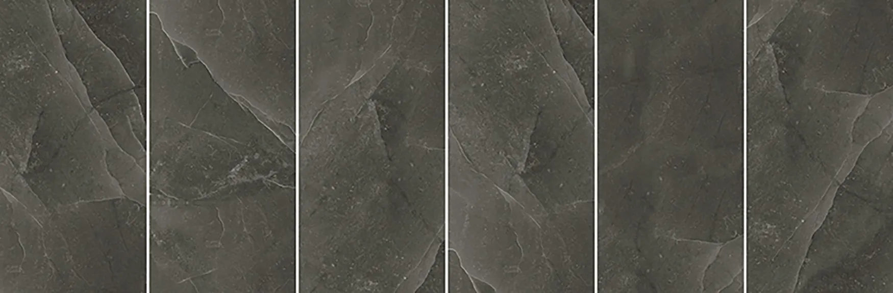 CS1002123