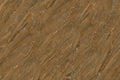 CS1002241