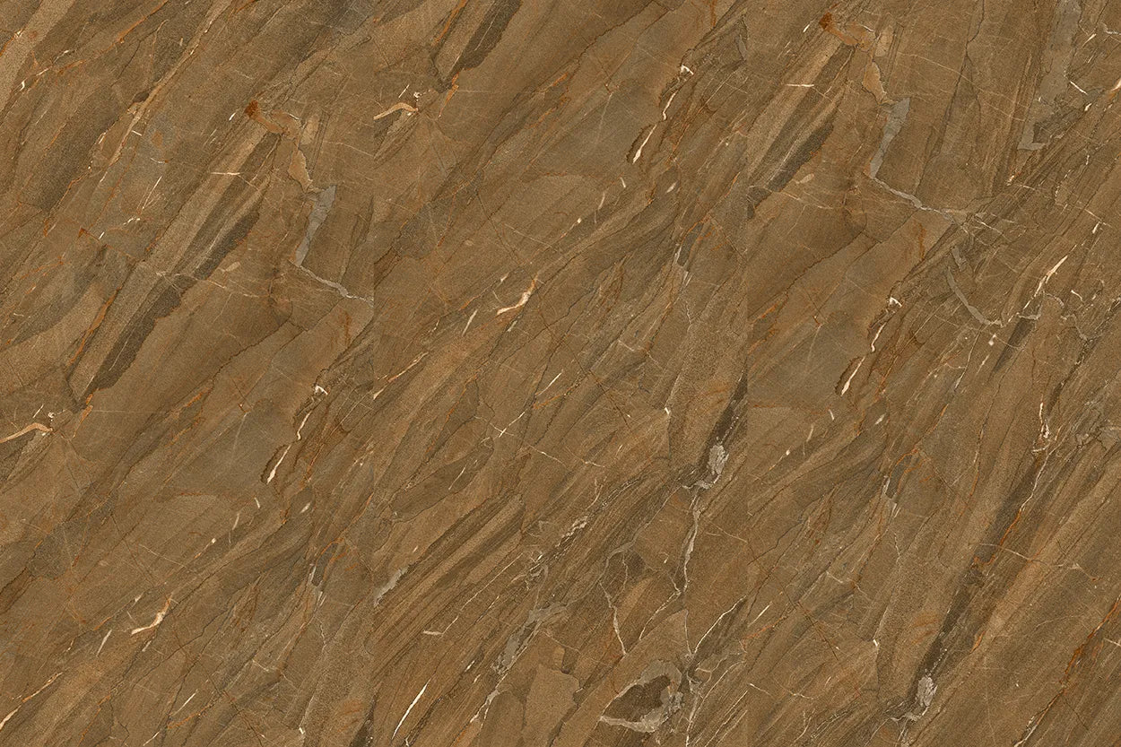 CS1002241