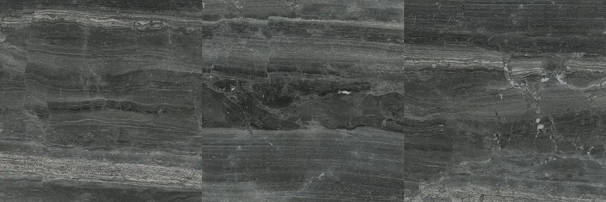 CS1002246