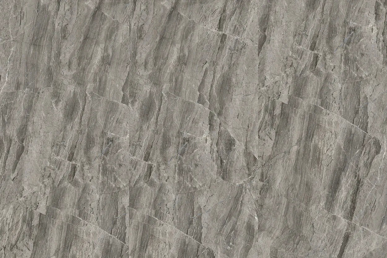 CS1002314