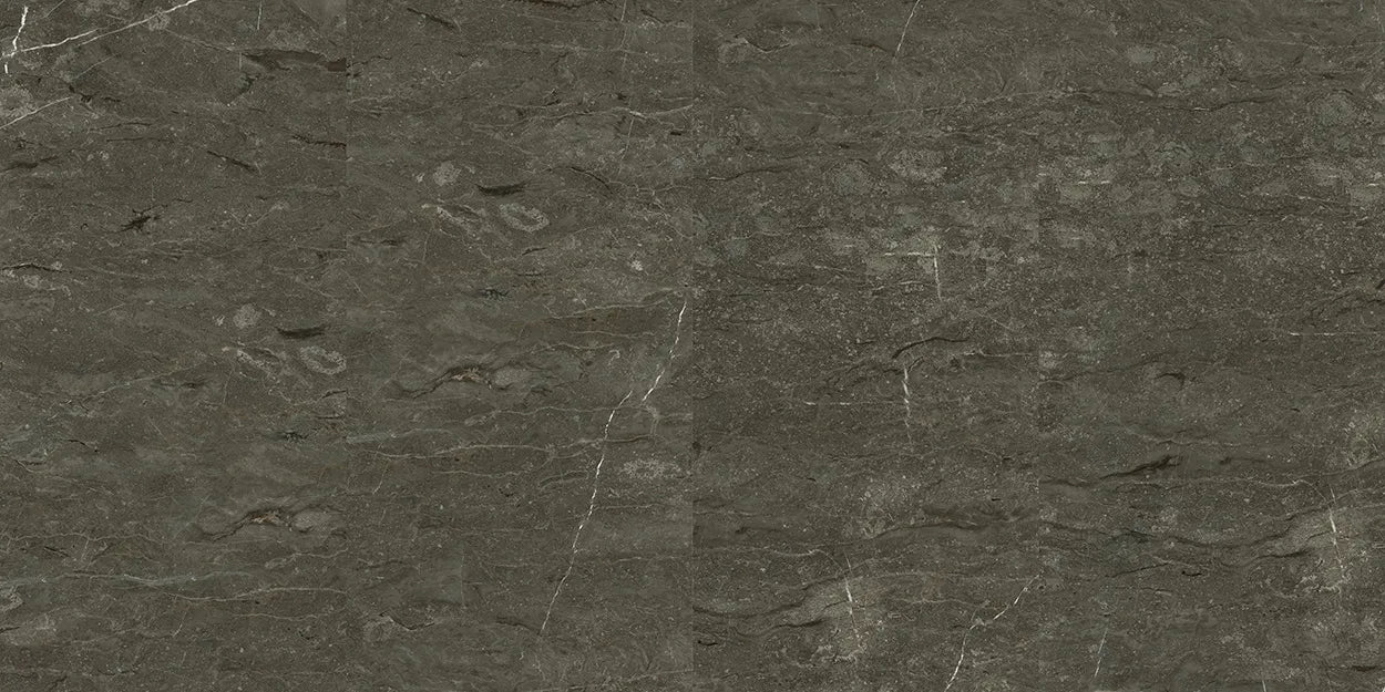CS1002331