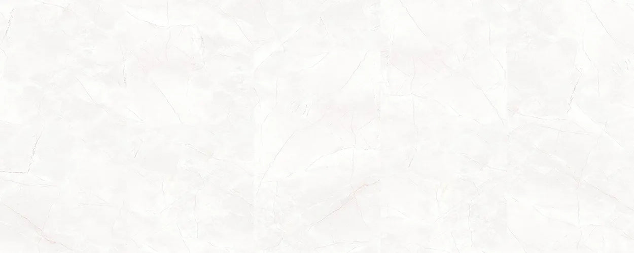 CS1002351