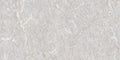 CS1002381