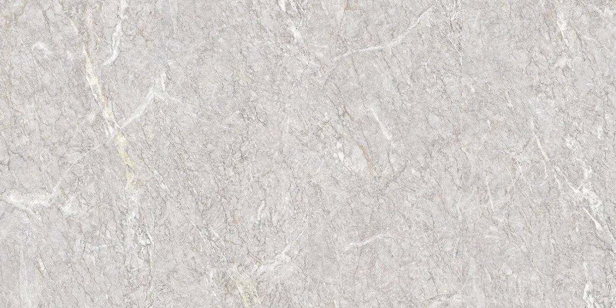 CS1002381