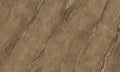 CS1002451