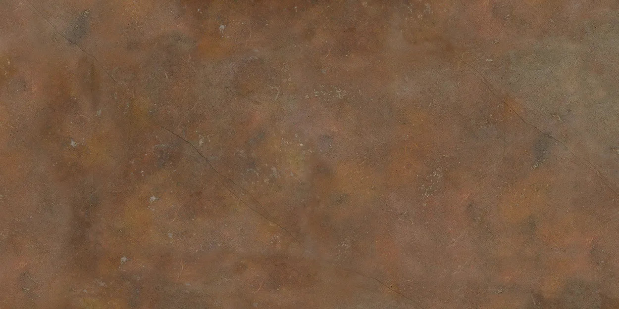 CS1002462