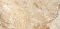 CS1004045