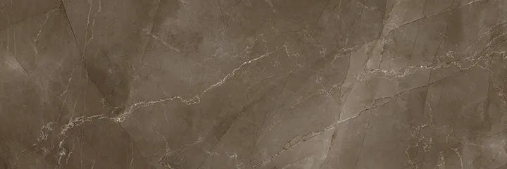 CS1004441