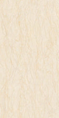 CS1004836