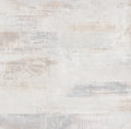 CS1005011