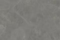 CS1005981