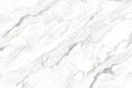 CS1006035