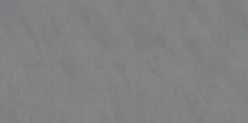 CS1006055