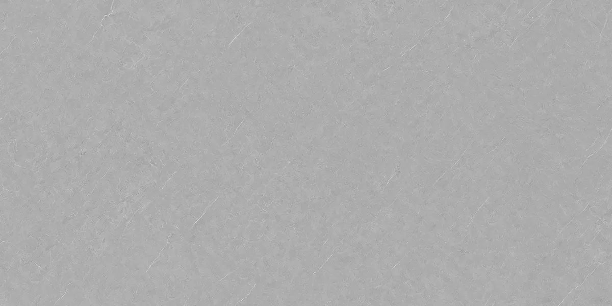 CS1006081