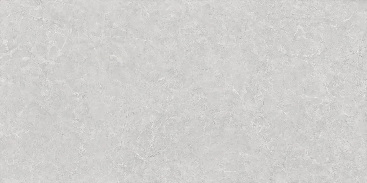 CS1006082