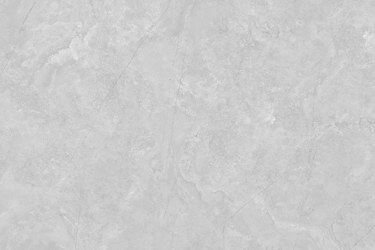 CS1006105