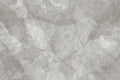CS1006118