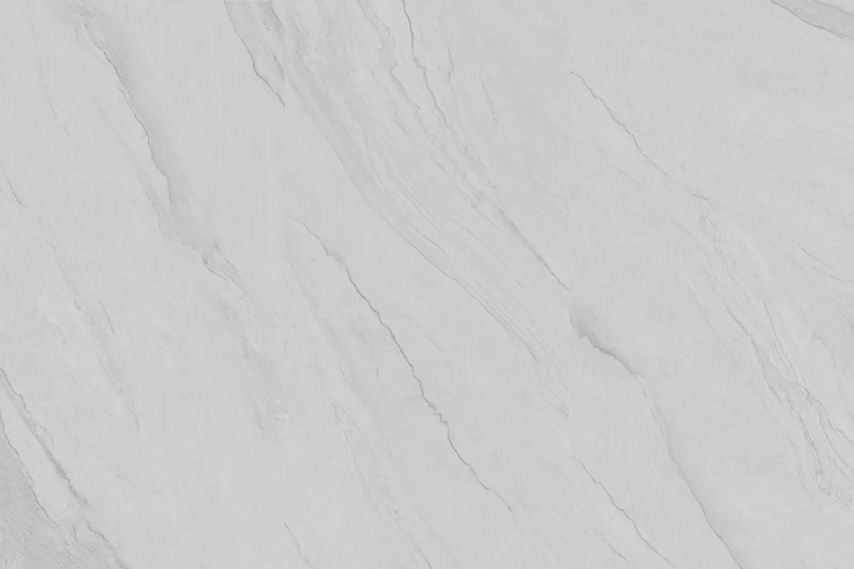 CS1006125