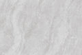 CS1006194