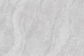 CS1006195